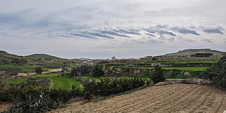 PXL_20240119_115651274
