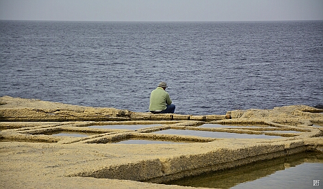 _DRY0739