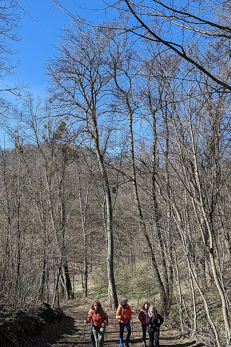 PXL_20240329_084500735