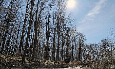 PXL_20240329_085332254