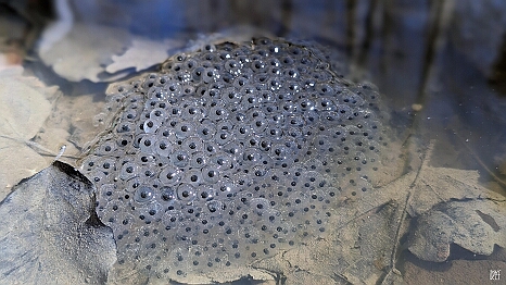 PXL_20240329_091100632