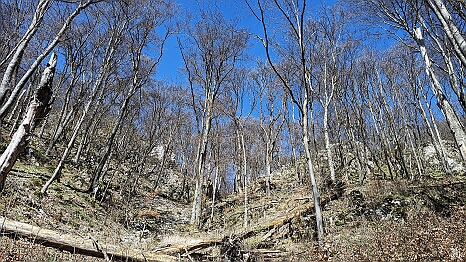 PXL_20240329_092740098
