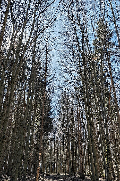 PXL_20240329_100124317