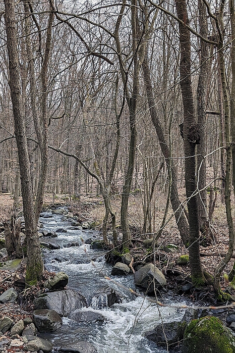 PXL_20240309_091053841