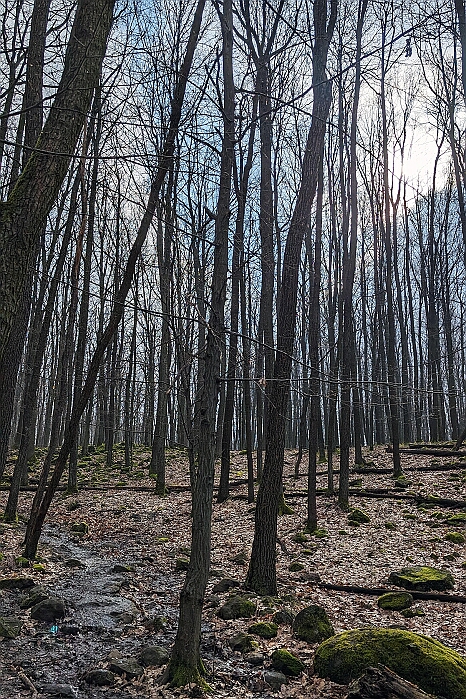 PXL_20240309_094414557