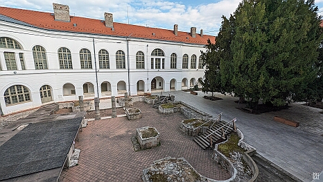 PXL_20240315_142723282