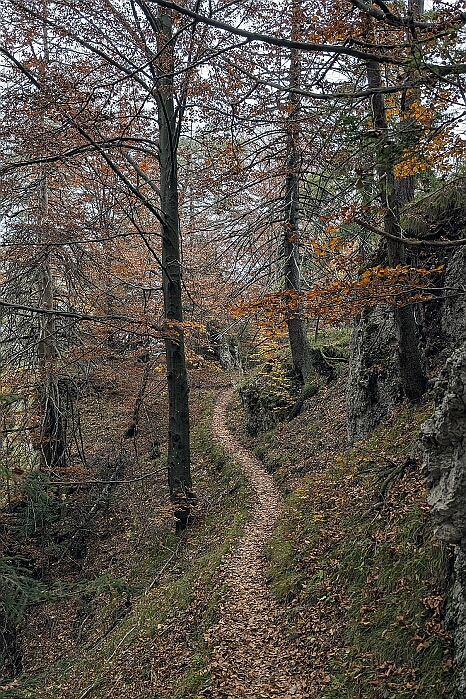 PXL_20241026_113305253