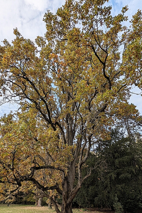 PXL_20241030_110151064